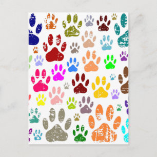 Distressed Colourful Dog Paw Prints Postcard