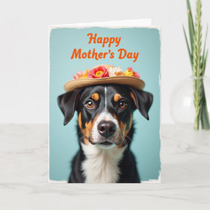 Distressed Dog Mothers Day Card