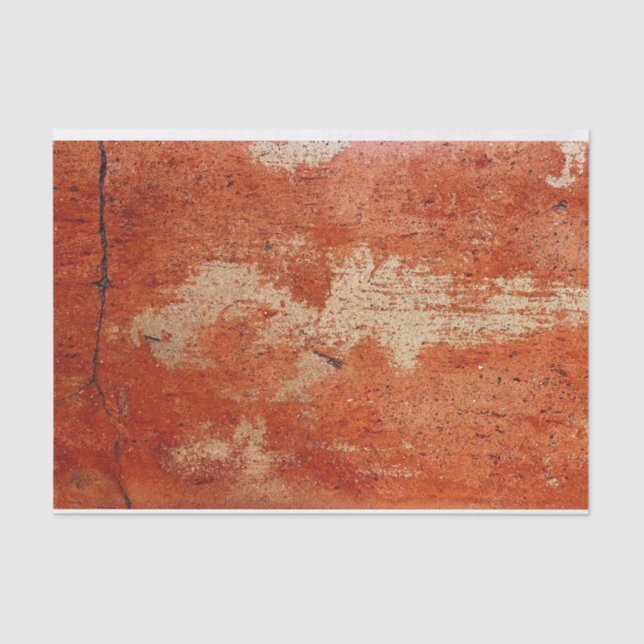 Distressed Grunge Terracotta Paint Loft DIY Decor Tissue Paper (Front)