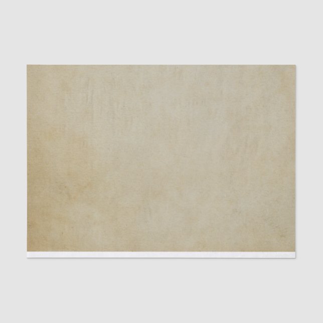 Distressed lightly textured parchment flat paper (Front)