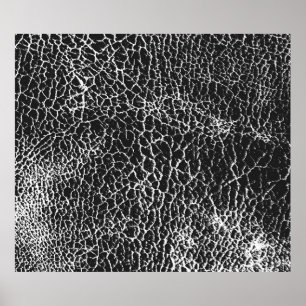 Distressed overlay texture of crocodile or snake s poster