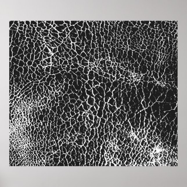 Distressed overlay texture of crocodile or snake s poster (Front)