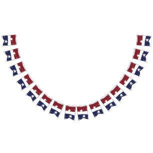 Distressed Paint Stars and Stripes Banner