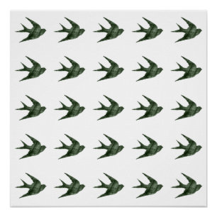 Distressed Swallow Poster