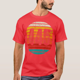 Distressed Vintage Sunset 445 Area Code T-Shirt