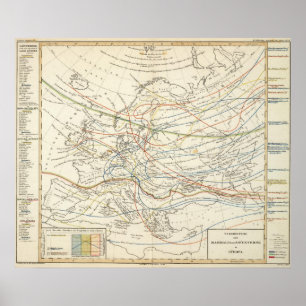Distribution of mammals poster