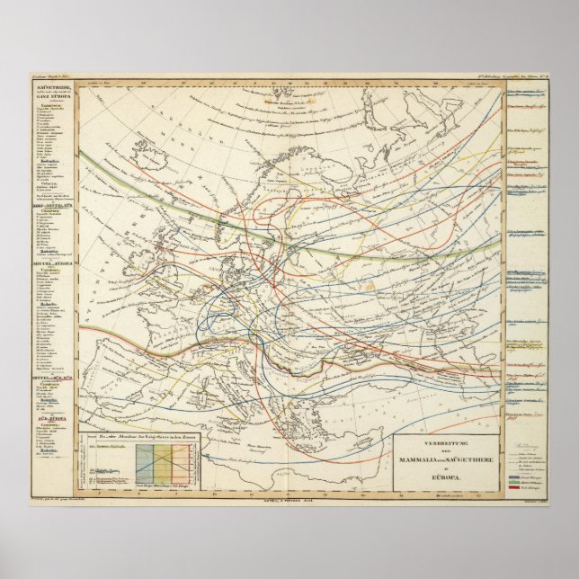 Distribution of mammals poster (Front)