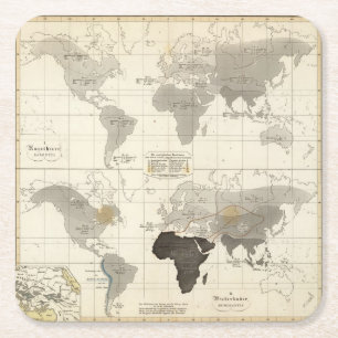 Distribution of rodents and animals square paper coaster