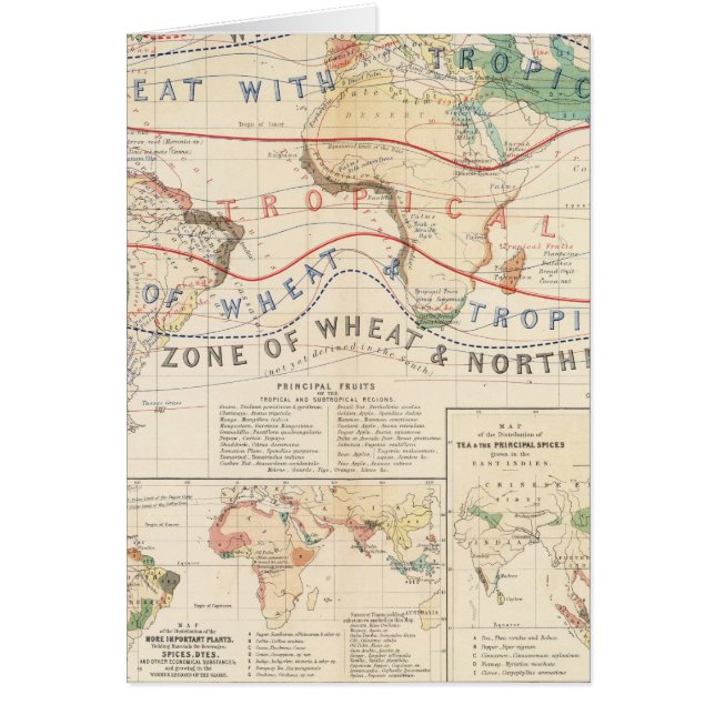 Distribution plants (Front)