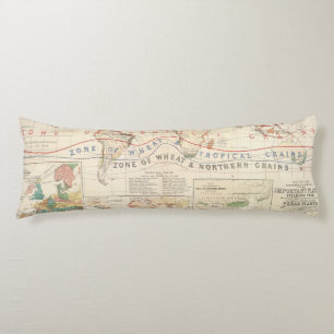 Distribution plants body cushion