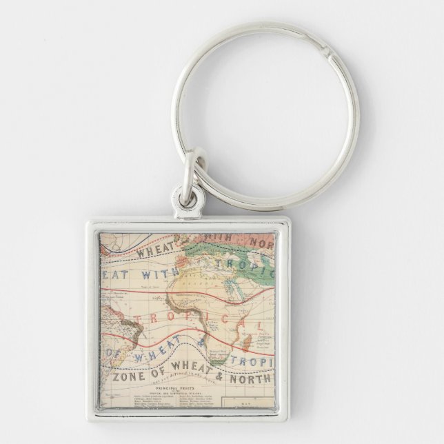 Distribution plants key ring (Front)