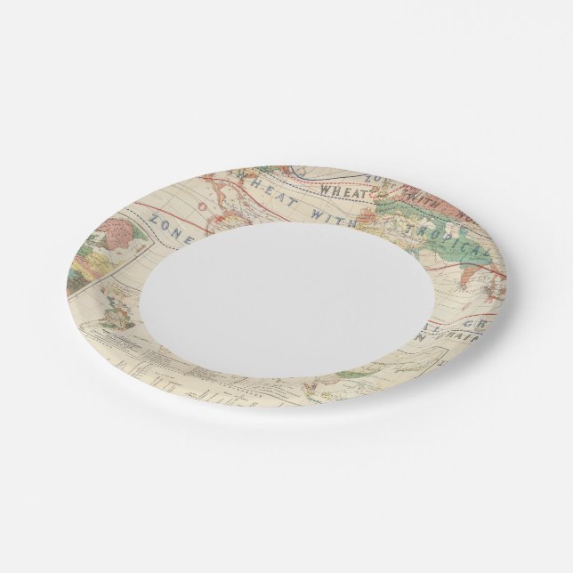 Distribution plants paper plate (Angled)