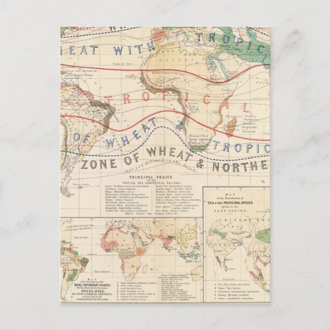 Distribution plants postcard (Front)