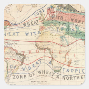 Distribution plants square sticker