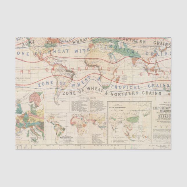 Distribution plants tissue paper (Front)