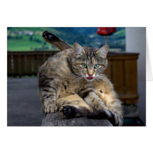 Disturbed While Cleaning