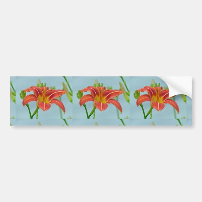 Ditch Lily Bumper Sticker (Front)