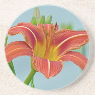 Ditch Lily Coaster