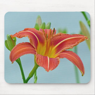 Ditch Lily Mouse Pad