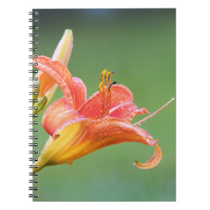 Ditch Lily Notebook