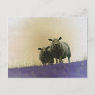 Dithmarschen Postcard