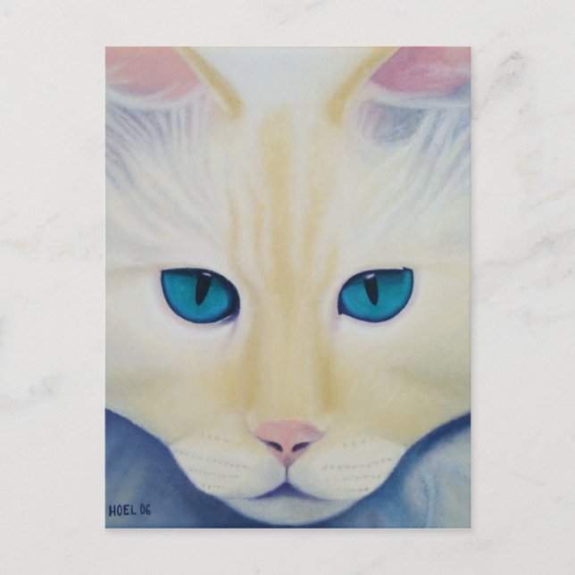 Ditto Postcard (Front)