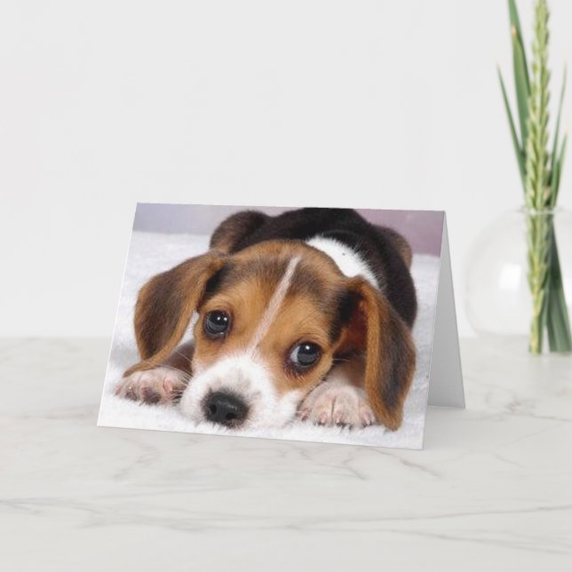 Ditzy Dogs~Beagle Greeting Card (Front)