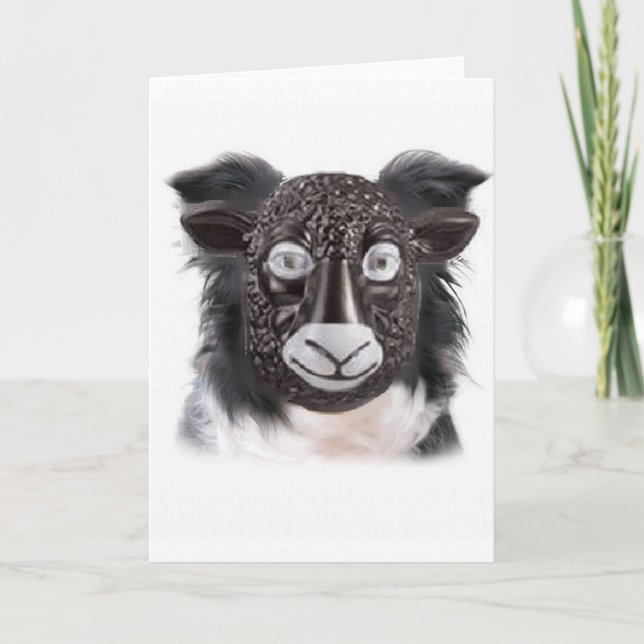 Ditzy Dogs~Border Collie Greeting Card~Sheep Card (Front)