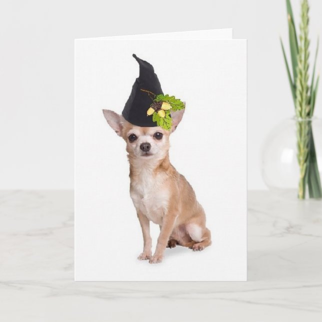 Ditzy Dogs~Original Greetomg Card~Chihuahua Card (Front)