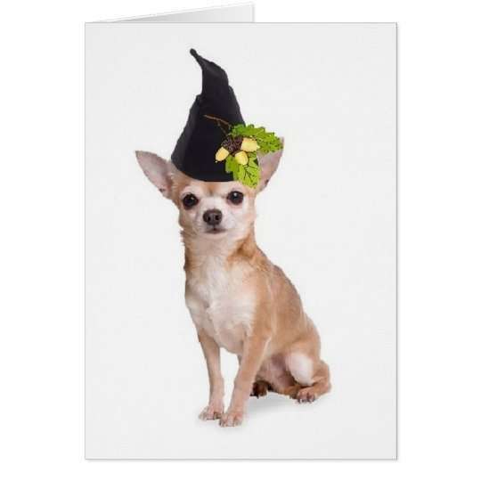 Ditzy Dogs~Original Greetomg Card~Chihuahua Card