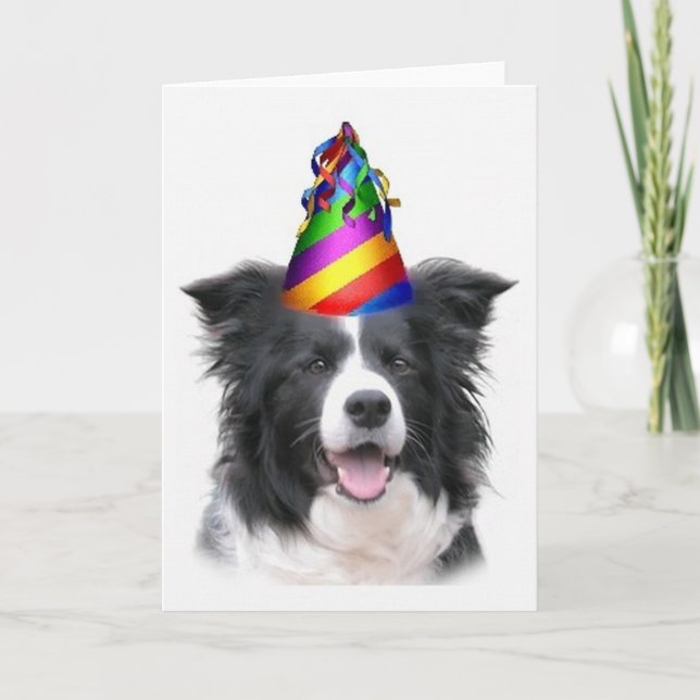 Ditzy Dogs~Original Notecard~Border Collie~B'day Card (Front)