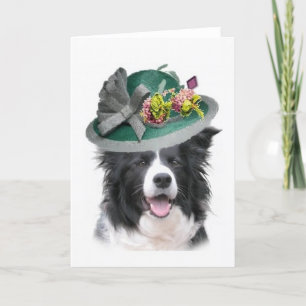 Ditzy Dogs~Original Notecard~Border Collie~Easter Holiday Card