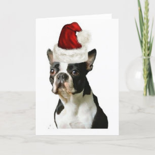Ditzy Dogs~Original Notecard~Boston Terrier Holiday Card