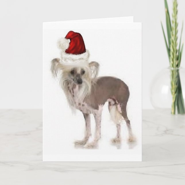 Ditzy Dogs~Original Notecard~Chinese Crested Card (Front)