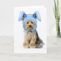 Ditzy Dogs~Original Notecard~Yorkie