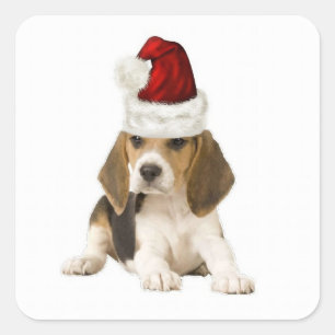 Ditzy Dogs~Original Sticker~Beagle~Christmas Square Sticker