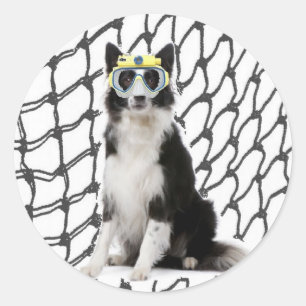 Ditzy Dogs~Original Sticker~Border Collie Classic Round Sticker