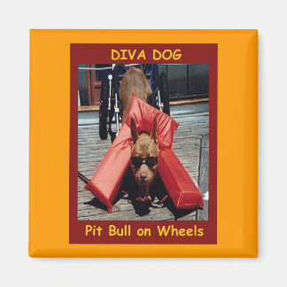 DIVA DOG Chillin' Refrigerator Magnet