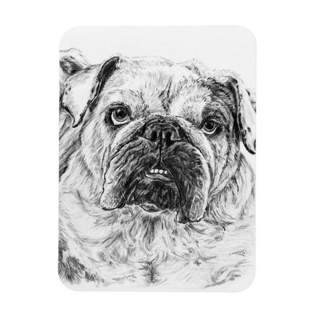 DIVA Lilybug Flexible Magnet (Vertical)