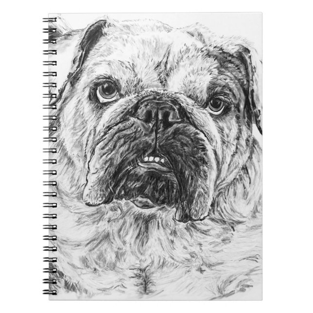 DIVA Lilybug Notebook (Front)