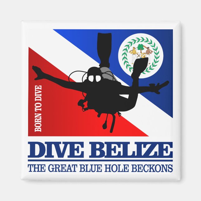 Dive Belize DF2 Magnet (Front)
