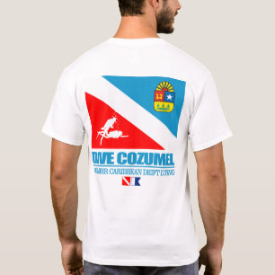 Dive Cozumel (sq) T-Shirt
