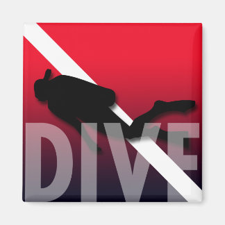 DIVE MAGNET