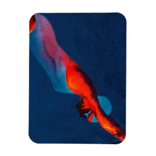 Diver 2011 magnet