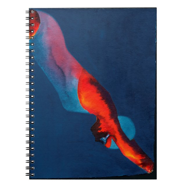 Diver 2011 notebook (Front)
