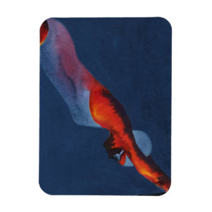 Diver 2 magnet