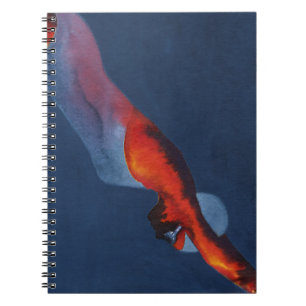 Diver 2 notebook