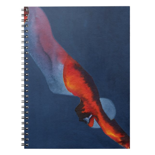 Diver 2 notebook (Front)