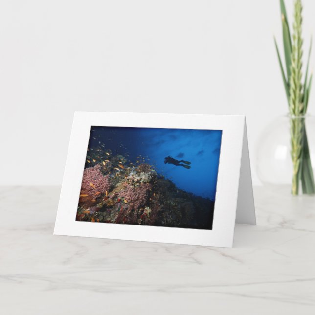 Diver on Reef Greeting Card (Front)