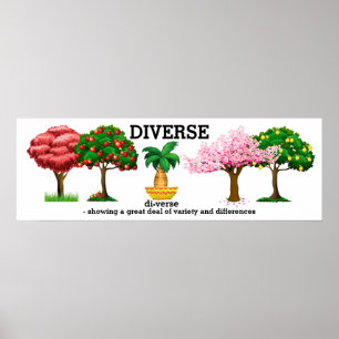 DIVERSE - Vocabulary  Poster